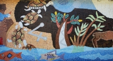 CELEBRAR A BIODIVERSIDADE!