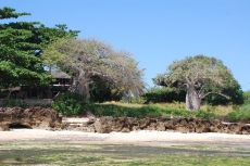 HISTÓRIAS DE MOÇAMBIQUE