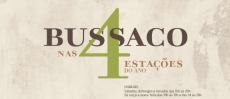 Bussaco nas 4 estações do ano  A fauna e flora