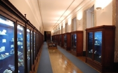 VISITA À GALERIA DE MINERALOGIA