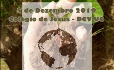 DIA MUNDIAL DO SOLO 2019