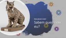 SABEM QUEM SOU EU? – DESAFIO 1