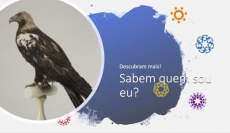 SABEM QUEM SOU EU? – DESAFIO 3