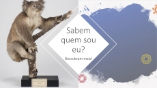 SABEM QUEM SOU EU? – DESAFIO 4