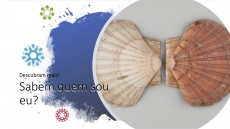 SABEM QUEM SOU EU? – DESAFIO 8