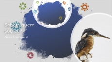 SABEM QUEM SOU EU? – DESAFIO 9