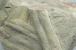 Bilobites - Cruziana goldfussi (Rouault, 1850) - MIN.003094 -  Dimensões 30x22x20 cm