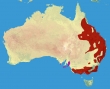 Área de distribuição na Austrália