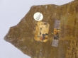 Lâmina de meteorito acondrítico de ferro - MIN.ELM.00069