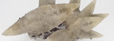 Calcite: um mineral que modela paisagens, patrim&oacute;nio e novas formas de conhecer o Museu da Ci&ecirc;ncia